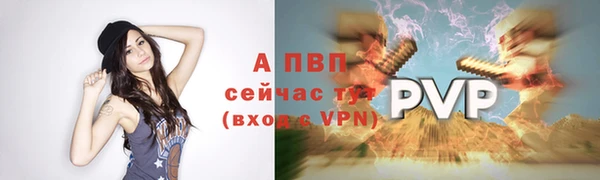 Альфа ПВП Инсар