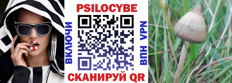 где можно купить наркотик Карасук Псилоцибиновые грибы Cubensis