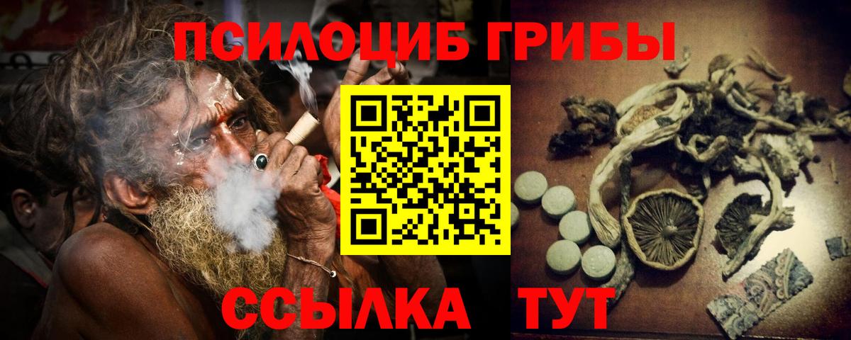 Карасук  Псилоцибиновые грибы GOLDEN TEACHER  Псилоцибиновые грибы мухоморы  Вход с VPN 