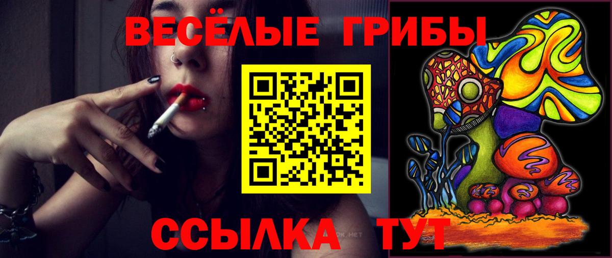 Галлюциногенные грибы Cubensis Карасук